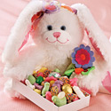 Huggy Bunny Gift Set