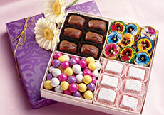 Summer Candy Quartet